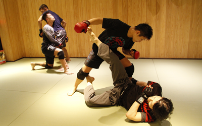 総合格闘技 MMA(Mixed Martial Arts)